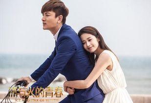 电视剧青春,梦想与成长的交织之旅